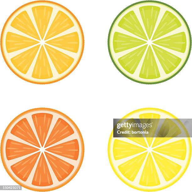 stockillustraties, clipart, cartoons en iconen met citrus fruit slices - citrusvrucht