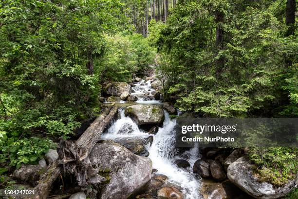 Mountain strim is seen ib Vysoke Tatry in Tatra National Patk in Slovakia on July 5, 2023. Slovakia, a mountainous country, is a popular tourist...