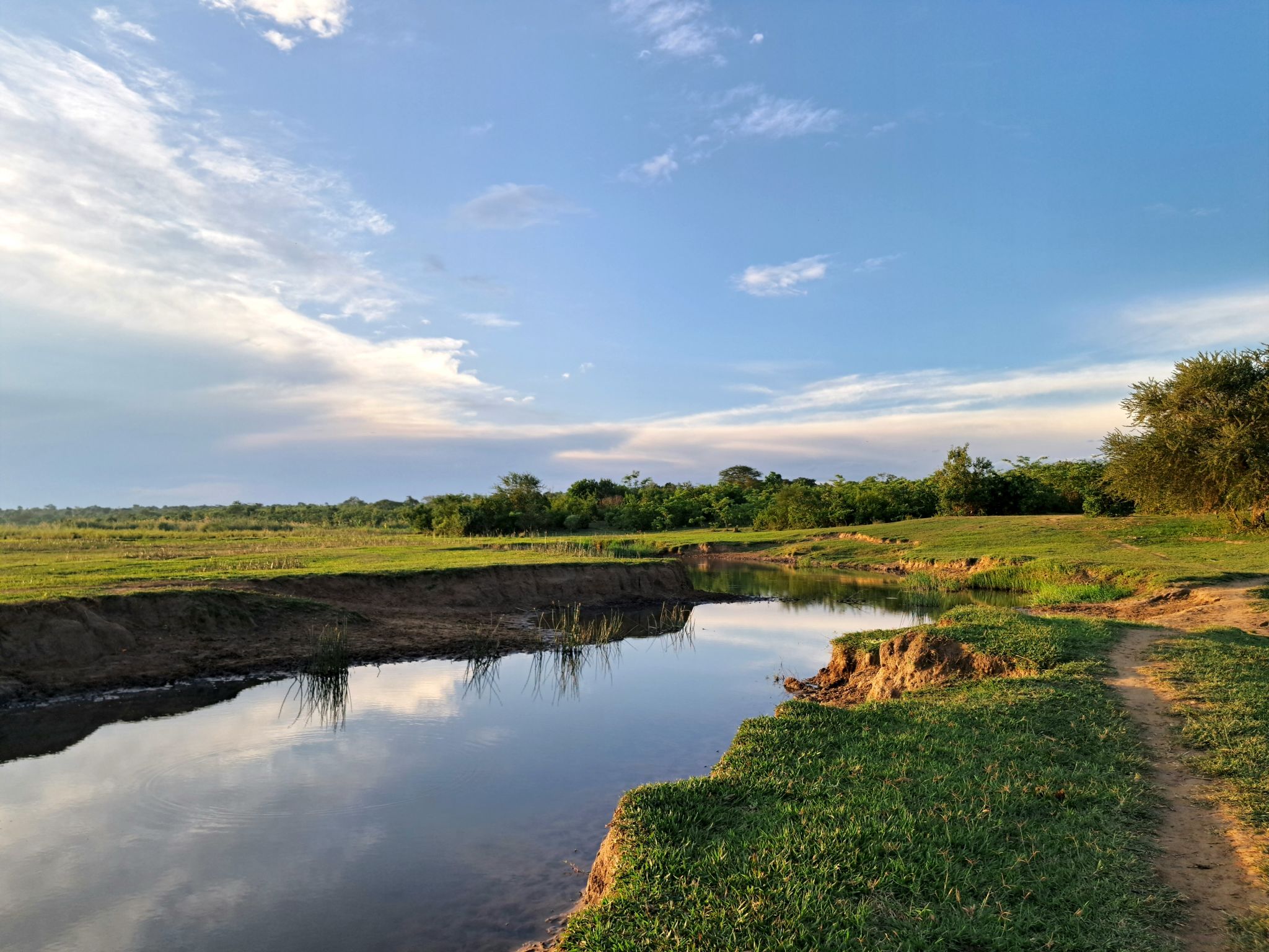 malawi digital landscape
