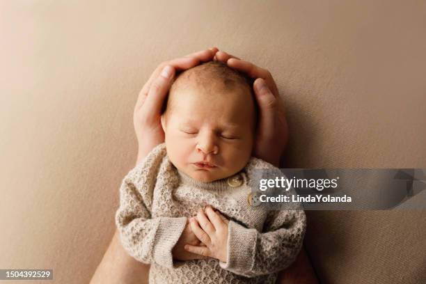 newborn baby boy - baby studio stock pictures, royalty-free photos & images