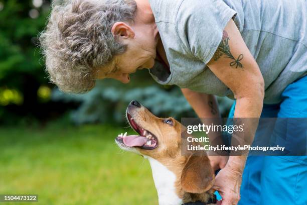love my owner - person with dog looking at camera stock pictures, royalty-free photos & images