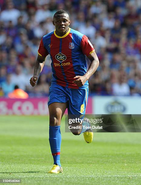 Kagisho Dikgacoi of Crystal Palace in action during the npower Championship match between Crystal Palace and Watford at Selhurst Park on August 18,...