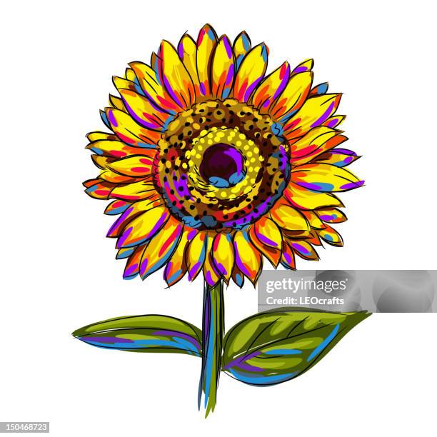 isolierte bunte sonnenblume - sonnenblume stock-grafiken, -clipart, -cartoons und -symbole