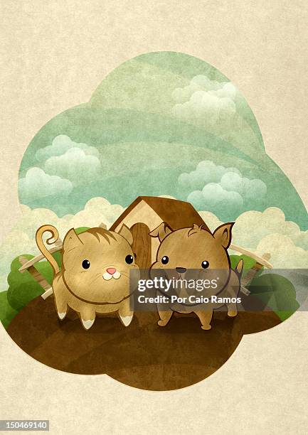 bichos - cat looking at camera stock illustrations