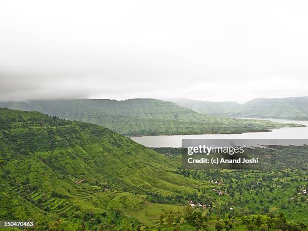 kaas plateau - plateau stock pictures, royalty-free photos & images