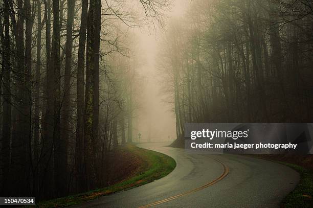 following light... - blue ridge parkway stock pictures, royalty-free photos & images