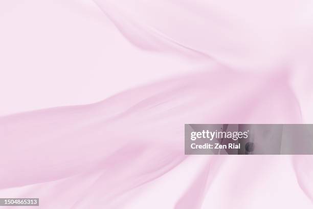 leaves of dracaena marginata plant color converted to pink - pale pink stock pictures, royalty-free photos & images