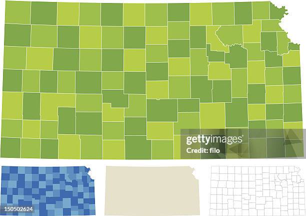 stockillustraties, clipart, cartoons en iconen met kansas county map - kansas