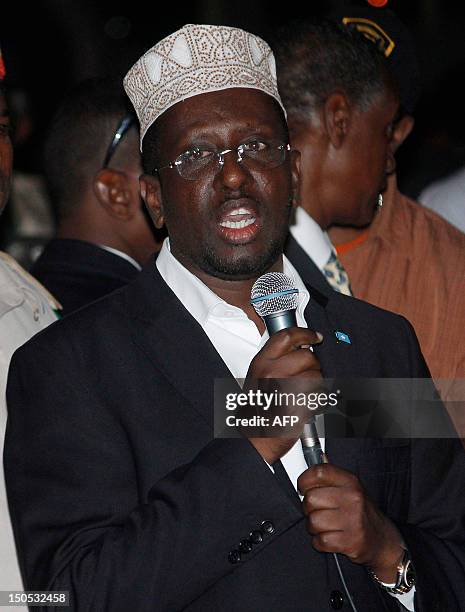 71 Transitional Federal Parliament Of Somalia Stock Photos, HighRes