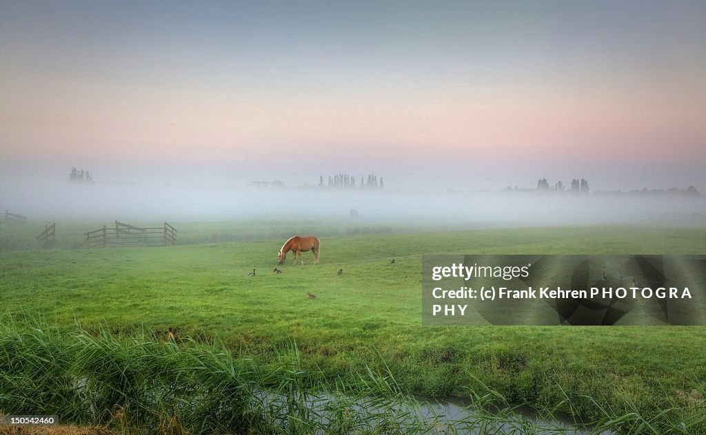 Sunrise at Pasture