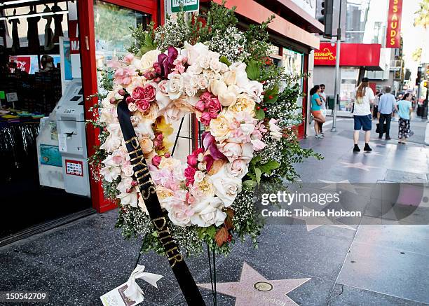 Phyllis Diller remembered on the Hollywood Walk of Fame on August 20, 2012 in Hollywood, California.