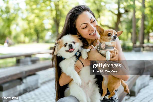 公園で2匹の犬と時間を楽しむ若い女性のポートレート - lap dog ストックフォトと画像