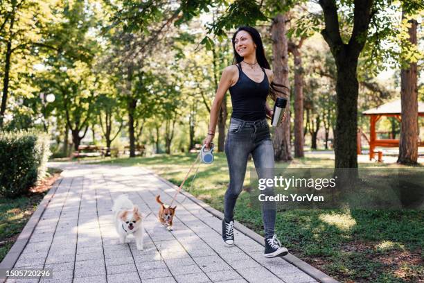 junge frau joggt im park mit ihren beiden kleinen hunden - chihuahua stock-fotos und bilder