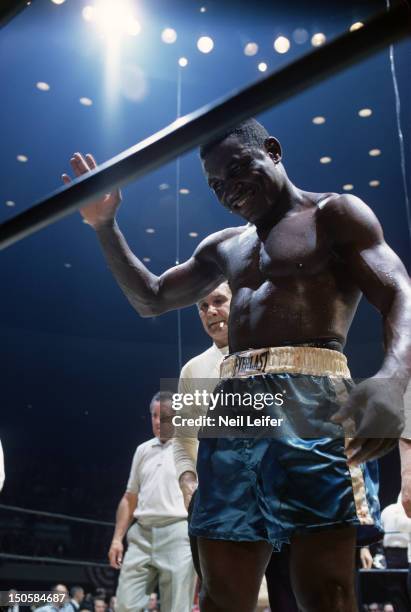 Tiger Boxer Photos and Premium High Res Pictures - Getty Images
