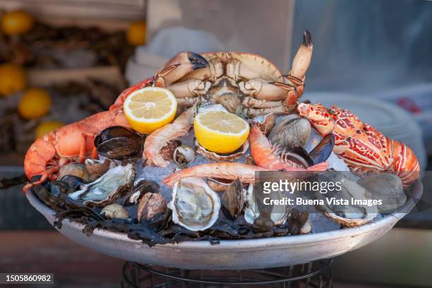 seafood plate in a french restaurant on the french riviera. - seafood platter stock pictures, royalty-free photos & images