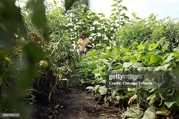 Wolan Kathy Stacey Photos and Premium High Res Pictures - Getty Images