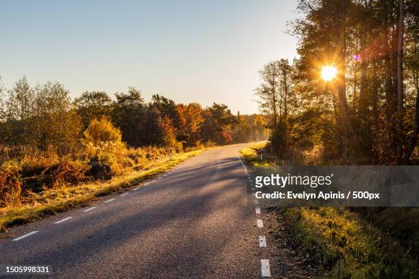 empty road amidst trees against sky during sunset,hiiumaa,hiiu county,estonia - hiiumaa photos et images de collection