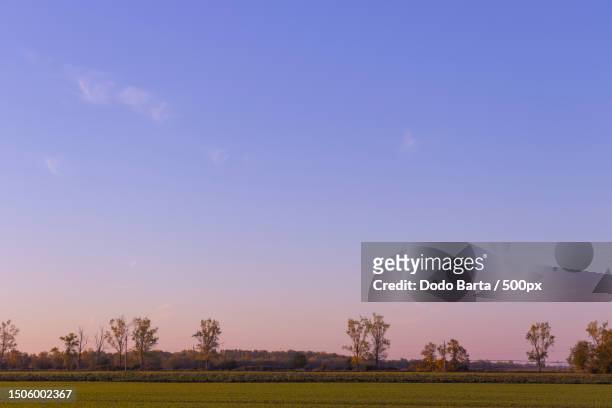 scenic view of field against sky during sunset,hungary - better view sunset stock pictures, royalty-free photos & images