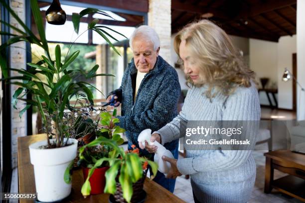 zufriedenes älteres paar, das sich gemeinsam um seine zimmerpflanzen kümmert - blumen giessen stock-fotos und bilder