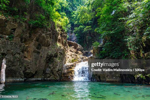 scenic view of waterfall in forest,koh chang,thailand - koh chang stock pictures, royalty-free photos & images