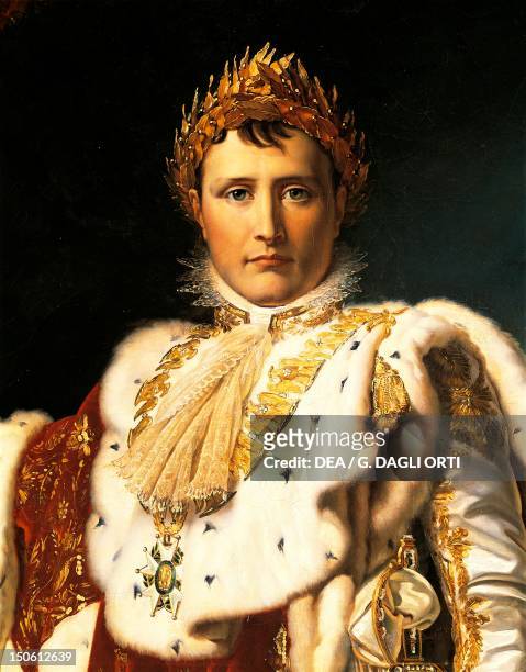 12,625 Napoleon Bonaparte Photos and Premium High Res Pictures - Getty  Images