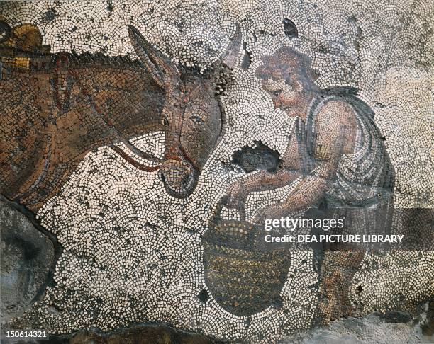 Detail of a floor mosaic depicting a boy feeding a donkey corn from a basket, 5th-6th century, Grand Palace, historic areas of Istanbul . Turkey.