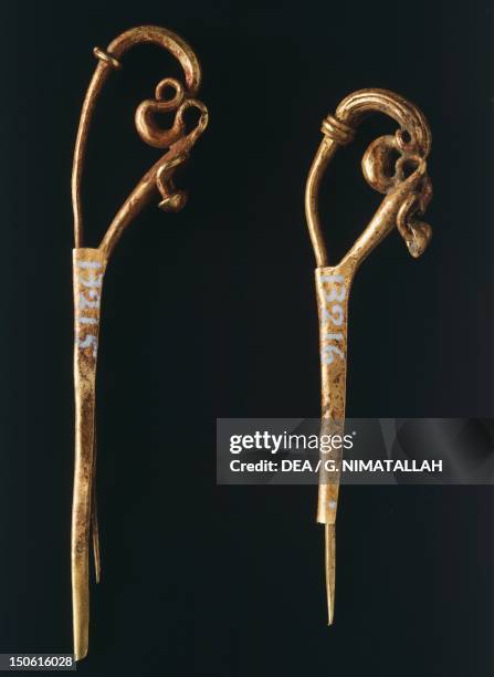 Gold dragon head fibula from Praeneste . Etruscan Civilization, 7th Century BC.