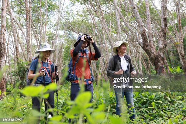 hikers happily use binoculars to view wildlife or birds. group of hikers walking in the forest to watch a bird in nature, using binoculars for birding by looking at a tree, adventure travel activity in outdoor trekking lifestyle, searching wildlife in th - bird watching stock pictures, royalty-free photos & images