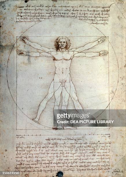 Vitruvian Man by Leonardo da Vinci , pencil and ink on paper, 34x24cm.