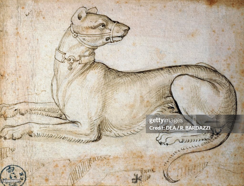 Study of an imaginary animal, by Leonardo da Vinci , drawing 753 Orn. News Photo - Getty Images Study of an imaginary animal, by Leonardo da Vinci , drawing 753 Orn. News Photo - Getty Images