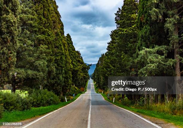empty road amidst trees against sky,italy - strada di campagna foto e immagini stock