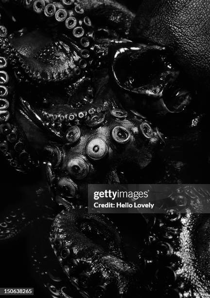 close up of black octopus - kraken bildbanksfoton och bilder