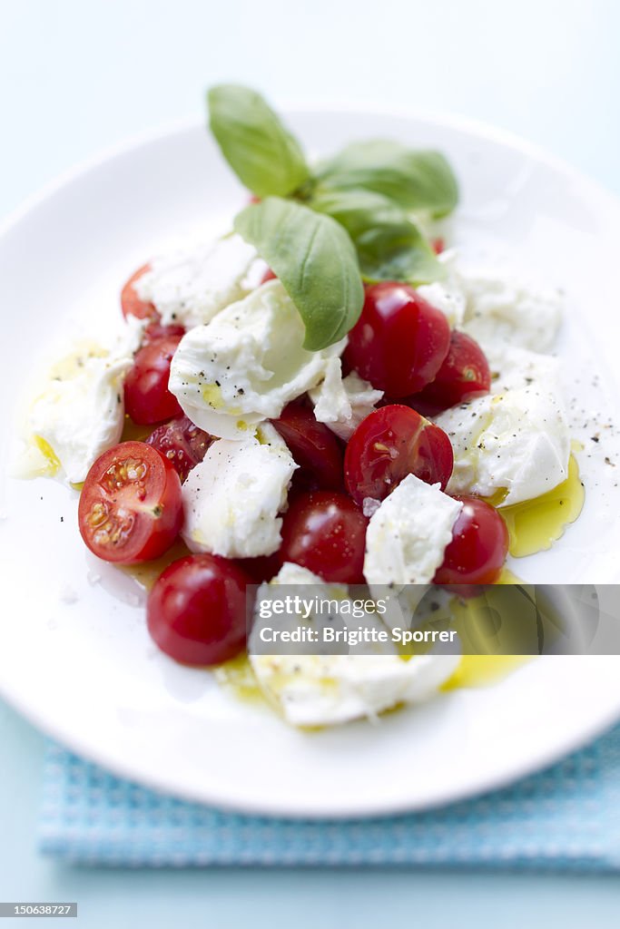 Close up of plate of tomatoes and cheese