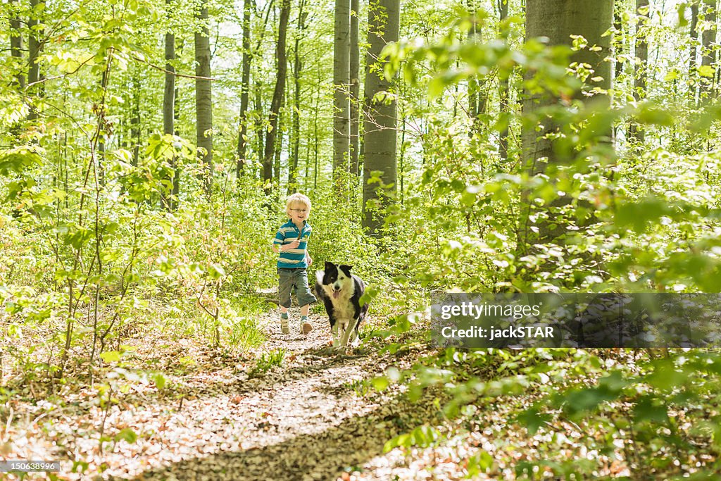 Boy walking with dog in forest