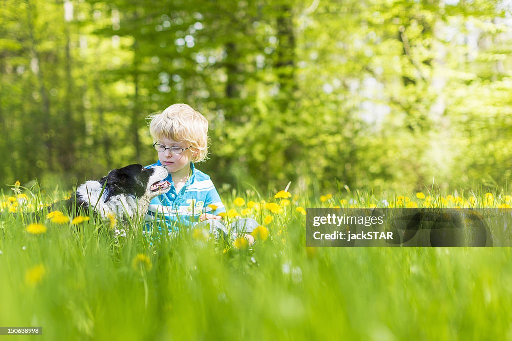 Boy with dog in field of tall grass