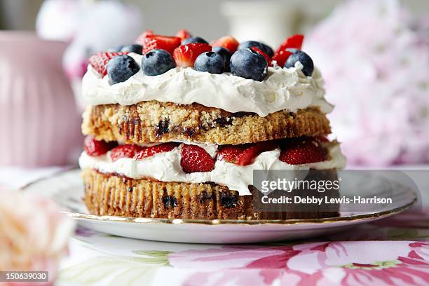 plate of fruit and cream cake - gateaux stock pictures, royalty-free photos & images