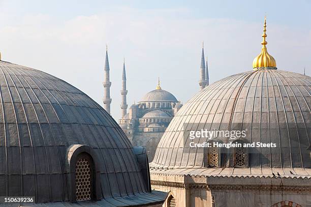 ornate domes and windows - blue mosque 個照片及圖片檔