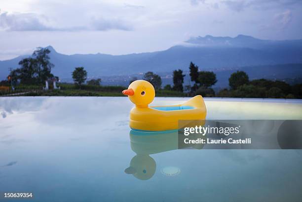 duck floating in still swimming pool - inflatable pool toys imagens e fotografias de stock