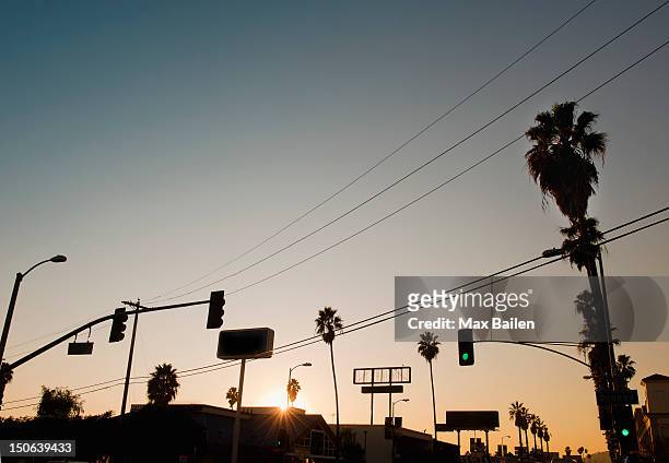 silhouette of city street at sunset - low angle view of silhouette palm trees against sky stock pictures, royalty-free photos & images