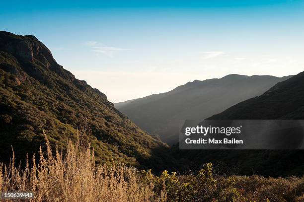 plants growing on hillsides in valley - max knoll stock pictures, royalty-free photos & images