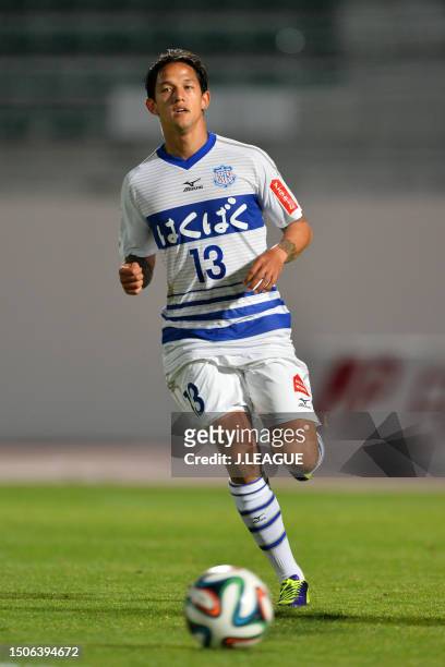 Irfan Bachdim of Ventforet Kofu in action during the J.League Yamazaki Nabisco Cup Group B match between Tokushima Vortis and Ventforet Kofu at...