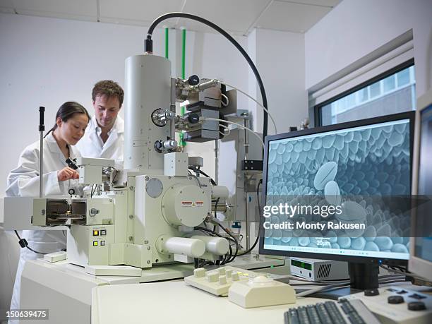 scientists using scanning electron microscope (sem) to look at pollen in biolab - scanning electron microscope stock pictures, royalty-free photos & images