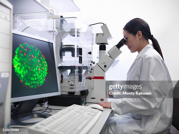scientist conducting stem cell research on a confocal microscope in biolab - stammzelle stock-fotos und bilder
