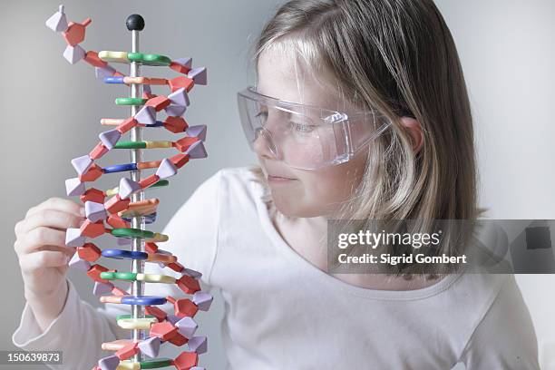 girl examining molecular model - mockup identity photos et images de collection