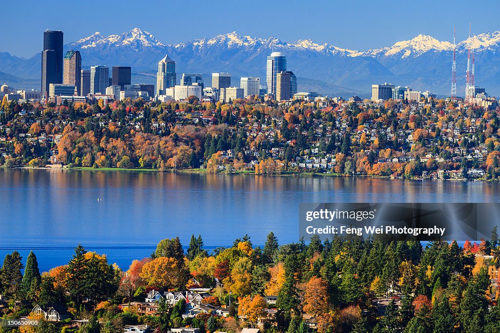 Splendid colors of fall in Bellevue