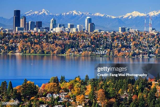 splendid colors of fall in bellevue - bellevue skyline 個照片及圖片檔