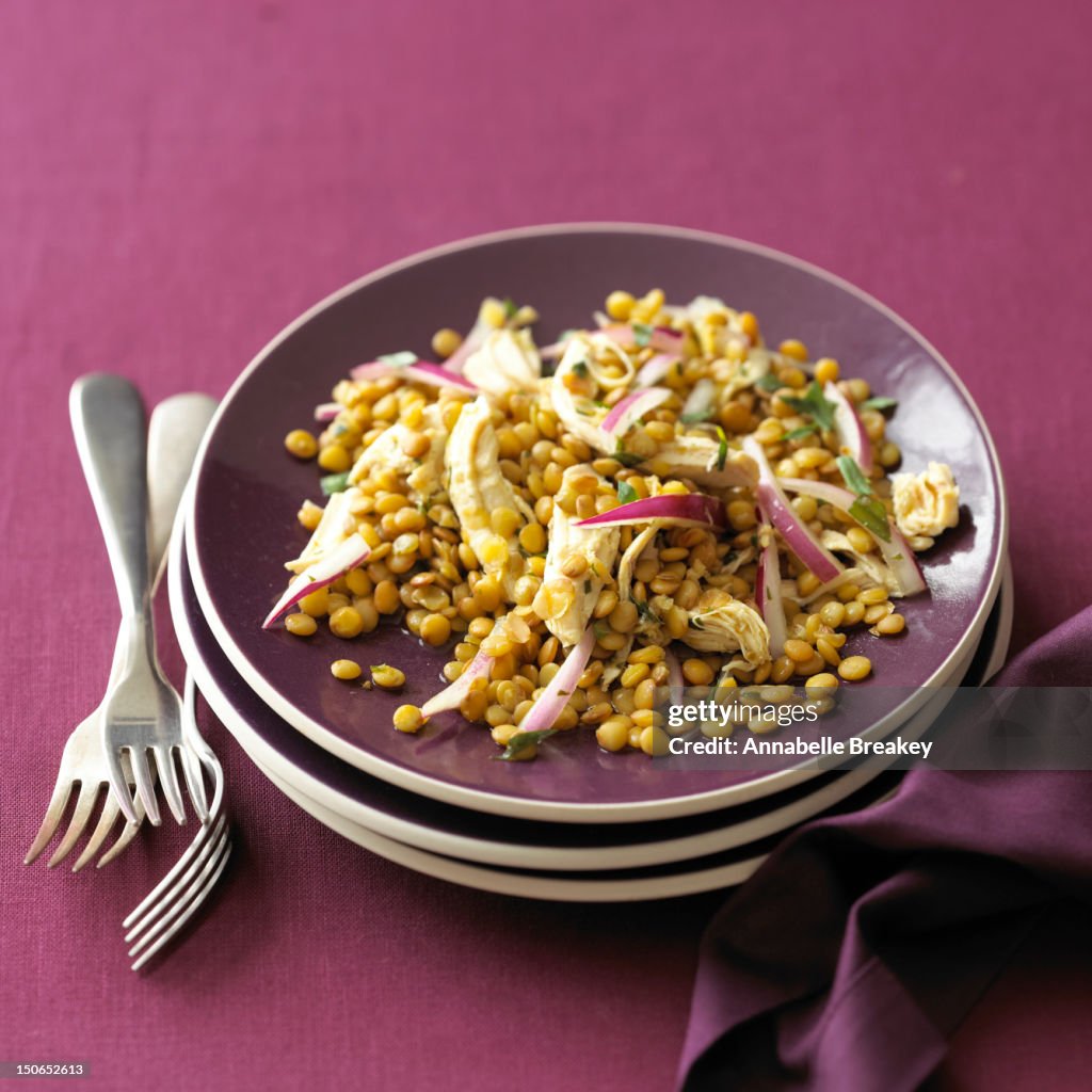 Plate of Chicken and Lentil Salad