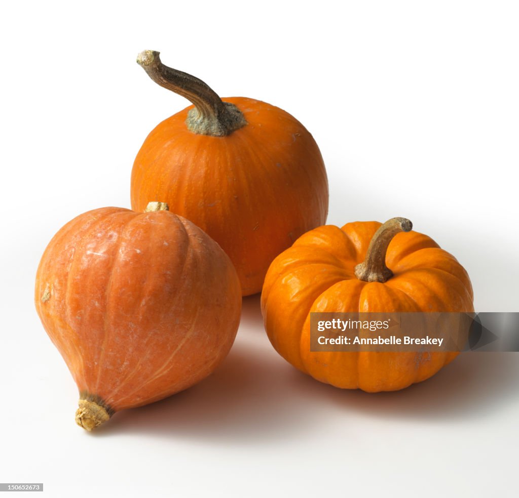 Still Life of Three Pumpkins