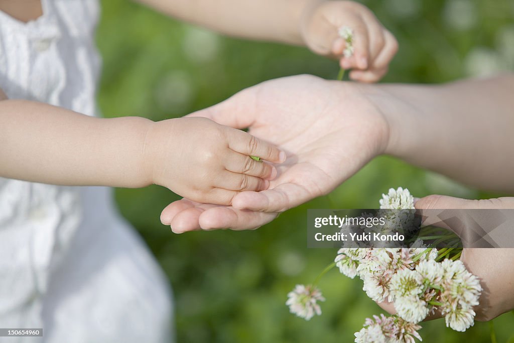 The child who hands a white clover to whose mother