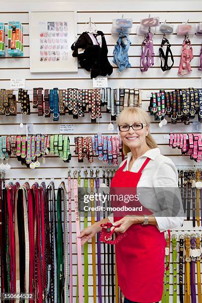 portrait of senior owner of pet shop showing belt - pet shop stock pictures, royalty-free photos & images